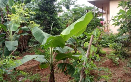 Fully Functional Integrated Farm with Accommodation