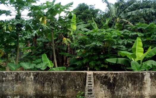 Fully Functional Integrated Farm with Accommodation