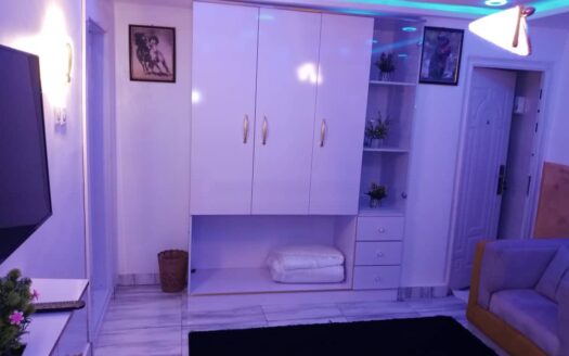 555 STARS LUXURY APARTMENT