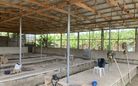 Poultry Farm Property
